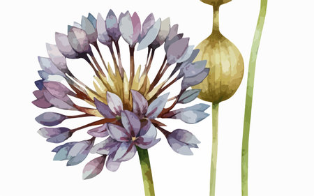Illustration of a bouquet of purple onions on a white backgroundのイラスト素材