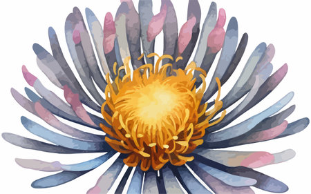 Watercolor flower isolated on white background. Hand drawn illustration. Vector.のイラスト素材