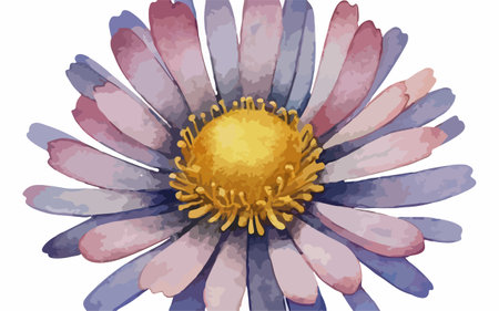 Beautiful watercolor daisy flower. Hand drawn vector illustration.のイラスト素材