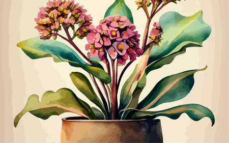 Illustration of pink flowers in a pot on a white background.のイラスト素材
