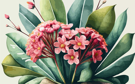 Illustration of a bouquet of pink flowers on a green backgroundのイラスト素材