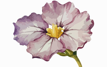 Illustration of a purple flower on a white background. Vector illustration.のイラスト素材