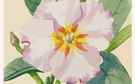 Illustration of a primrose with leaves in a retro style.のイラスト素材