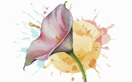 Illustration of calla lily flower with watercolor splashesのイラスト素材
