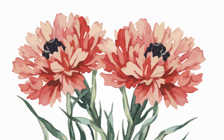 Bouquet of poppies on a white background. Vector illustration.のイラスト素材