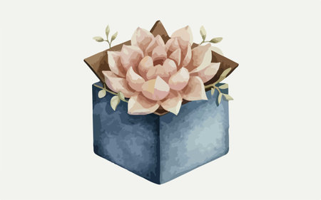 Illustration of a blue gift box with succulents and leavesのイラスト素材
