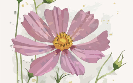 Cosmos flower in watercolor style. Hand drawn vector illustration.のイラスト素材