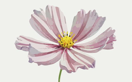 Cosmos flower. Vector illustration. Can be used as a greeting card.のイラスト素材