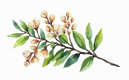 Hand drawn watercolor branch with leaves and flowers. Vector illustration.のイラスト素材