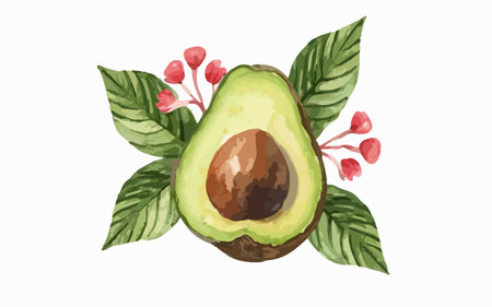 Avocado with leaves and flowers. Hand drawn watercolor illustration.のイラスト素材