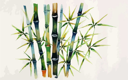 Illustration of bamboo stems and leaves in watercolor style, vectorのイラスト素材