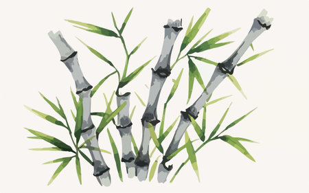 Watercolor illustration of bamboo stems and leaves. Hand drawn illustration.のイラスト素材
