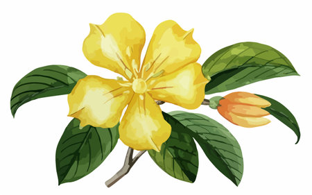 Illustration of a yellow flower with green leaves on a white backgroundのイラスト素材