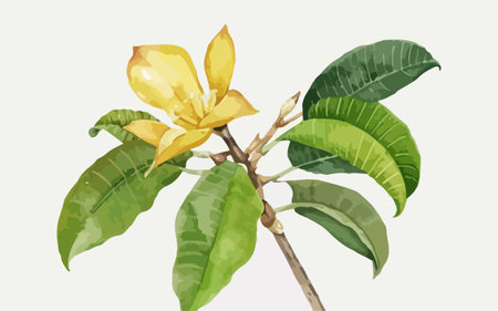 Illustration of a yellow flower on a branch with green leaves.のイラスト素材