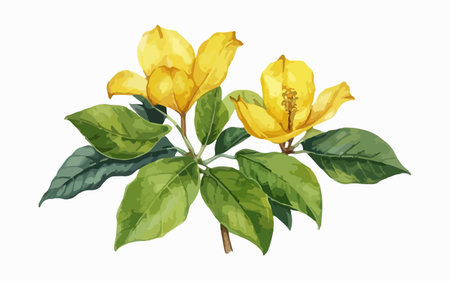 Bouquet of yellow flowers on a white background. Vector illustration.のイラスト素材