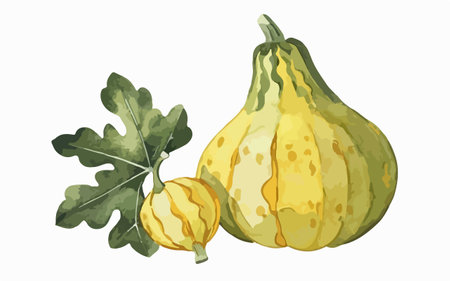Pumpkin isolated on a white background. Watercolor illustration.のイラスト素材