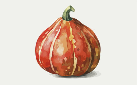 Illustration of a pumpkin on a white background. Vector illustration.のイラスト素材