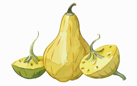 Illustration of a group of pumpkins on a white background.のイラスト素材