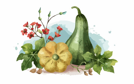 Pumpkin and zucchini with leaves. Vector illustration.のイラスト素材