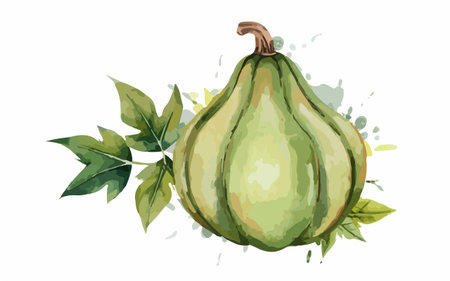 Pumpkin with green leaves and watercolor splashes. Vector illustration.のイラスト素材