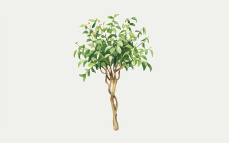 Tree with green leaves isolated on white background. Hand drawn vector illustration.のイラスト素材