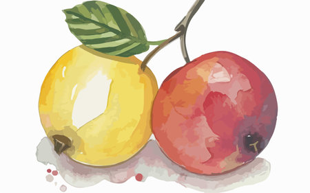 Illustration of apples on a white background with watercolors.のイラスト素材