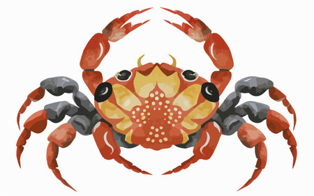 Illustration of a red crab on a white background, vector illustrationのイラスト素材