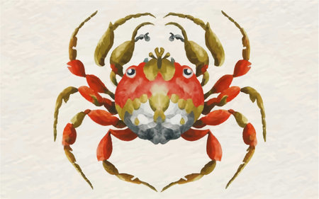 Illustration of a crab on a white background with space for textのイラスト素材