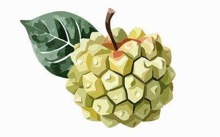 Custard apple with leaves. Vector illustration on white background.のイラスト素材