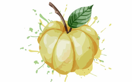Illustration of a green pumpkin with a splash on a white backgroundのイラスト素材
