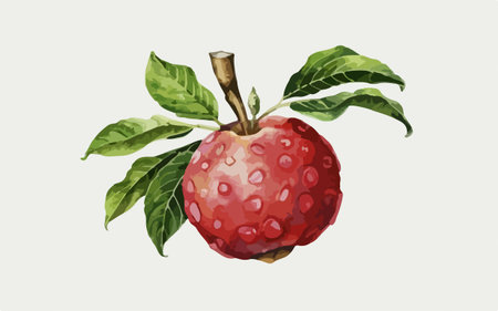 Ripe red apple with green leaves on a white background. Vector illustration.のイラスト素材