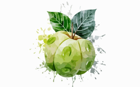 Illustration of green apple with watercolor splashes on white backgroundのイラスト素材