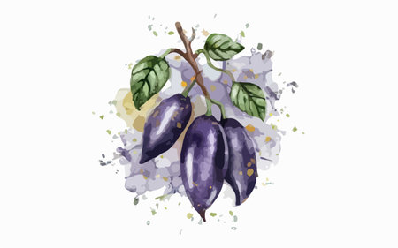 Vector watercolor illustration of ripe purple plums on a white backgroundのイラスト素材