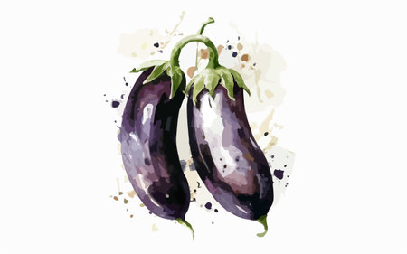 Illustration of eggplant with watercolor splashes on white backgroundのイラスト素材