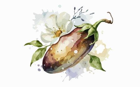 Illustration of eggplant with watercolor splashes on white backgroundのイラスト素材