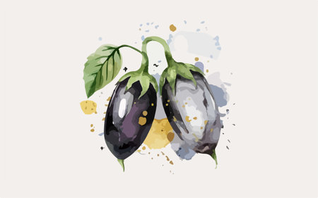 Eggplant hand drawn watercolor illustration on white background. Vector illustration.のイラスト素材