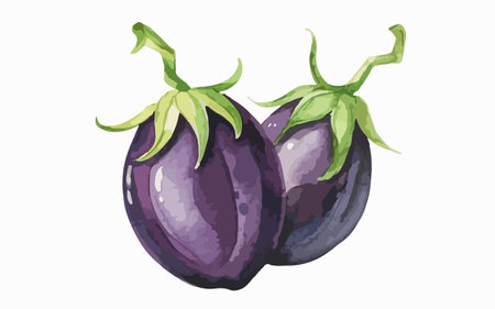 Illustration of two purple eggplants on a white background.のイラスト素材