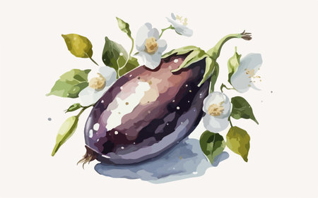 Eggplant with leaves and jasmine flowers. Vector illustration.のイラスト素材