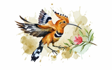 Eurasian Hoopoe bird, Watercolor hand drawn illustrationのイラスト素材