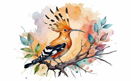 Watercolor bird hoopoe on a branch with leaves, vector illustrationのイラスト素材