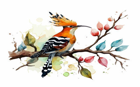Eurasian Hoopoe bird, watercolor vector illustration.のイラスト素材