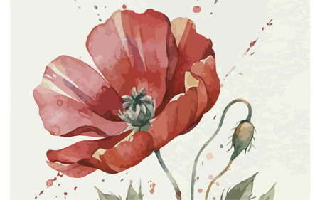Red poppies. Hand drawn watercolor illustration. Vector.のイラスト素材