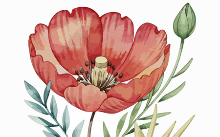 Watercolor poppies with green leaves. Hand drawn illustration.のイラスト素材