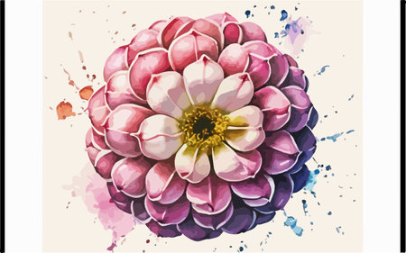 Illustration of a pink dahlia on a watercolor backgroundのイラスト素材