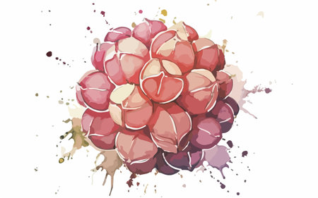 Illustration of a bunch of grapes with watercolor splashes.のイラスト素材