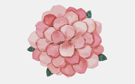 Hand drawn watercolor illustration of pink hydrangea flower.のイラスト素材