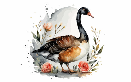Watercolor illustration of a black swan with flowers. Isolated on white background.のイラスト素材