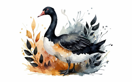 Watercolor vector illustration of a black swan on a white backgroundのイラスト素材