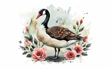 Watercolor illustration of a swan on a white background with rosesのイラスト素材