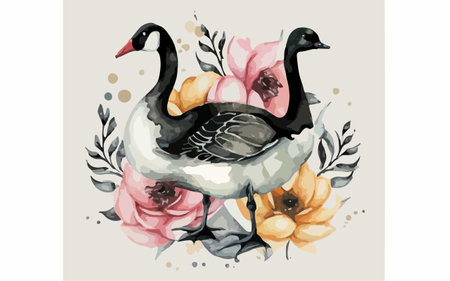 Watercolor illustration of a black swan swimming in a pond with flowersのイラスト素材